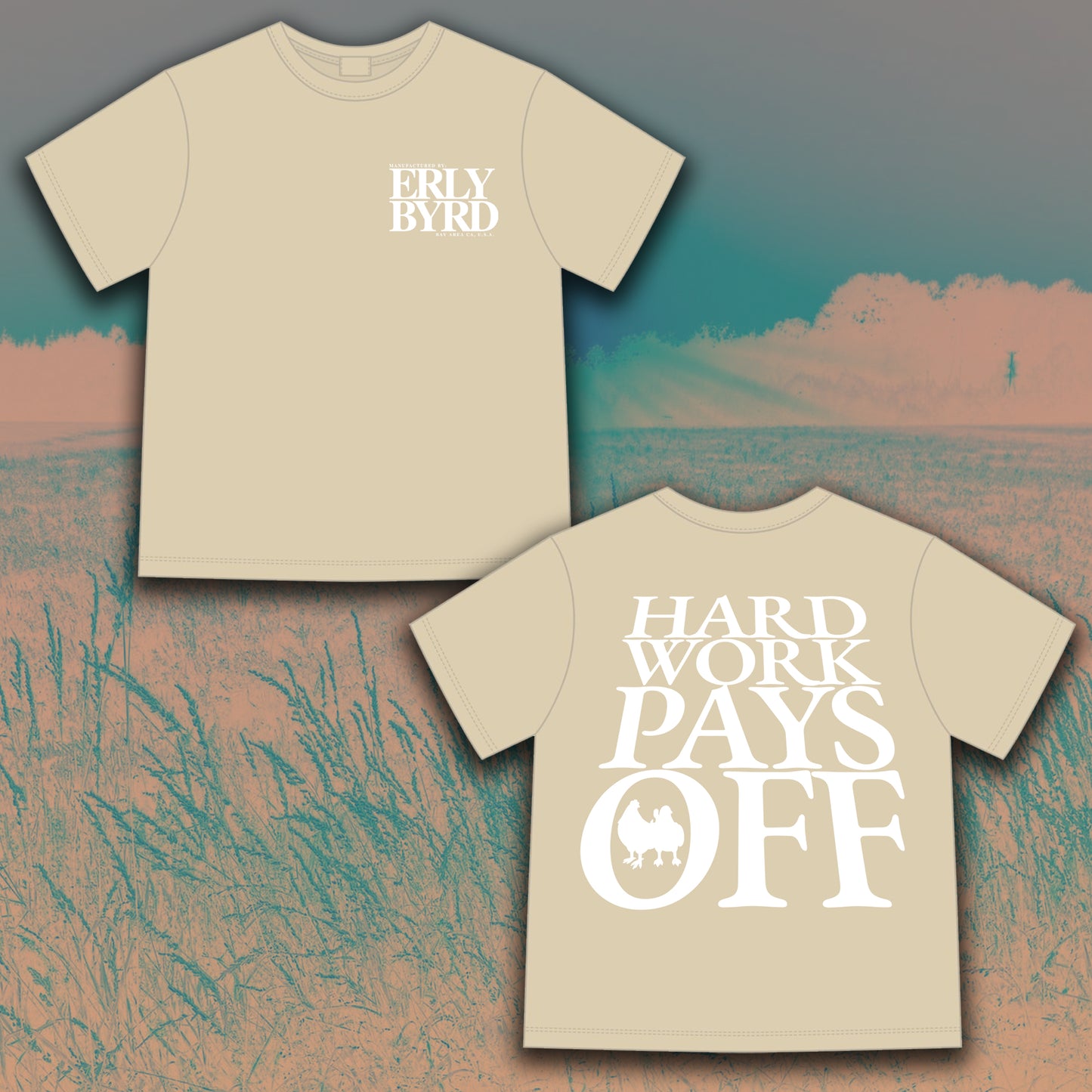 HARD WORK PAYS OFF T- SHIRT IN OATMEAL