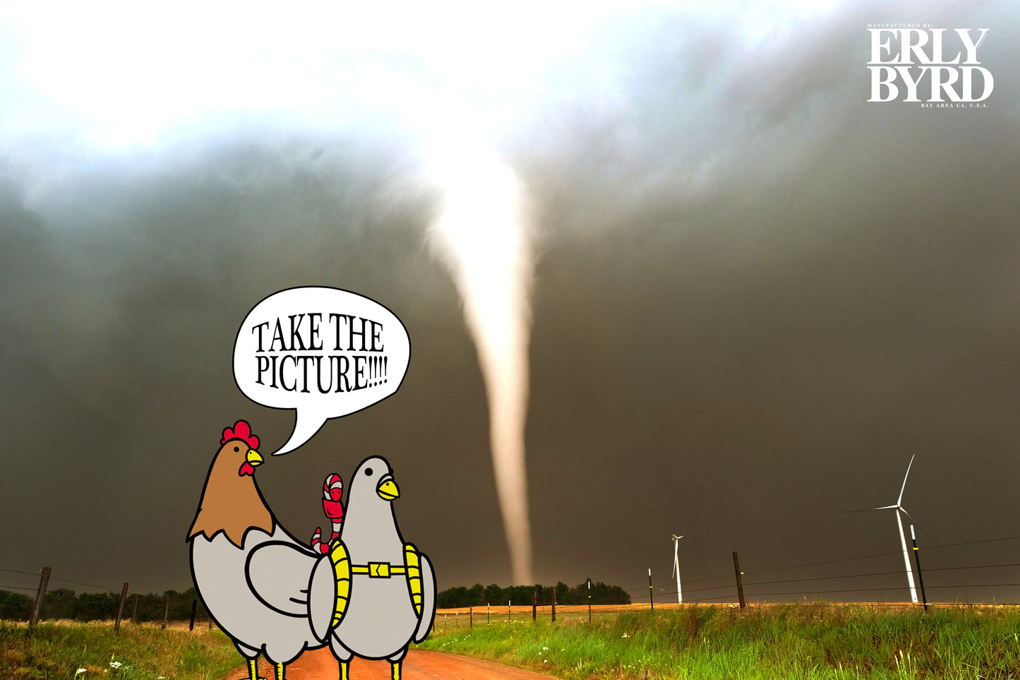 STORM CHASER POSTCARD